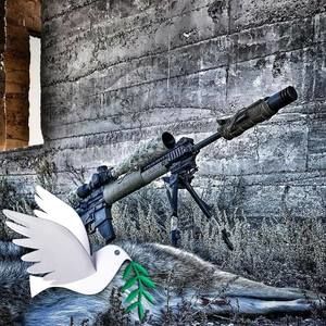 Meet your Posher, Dan